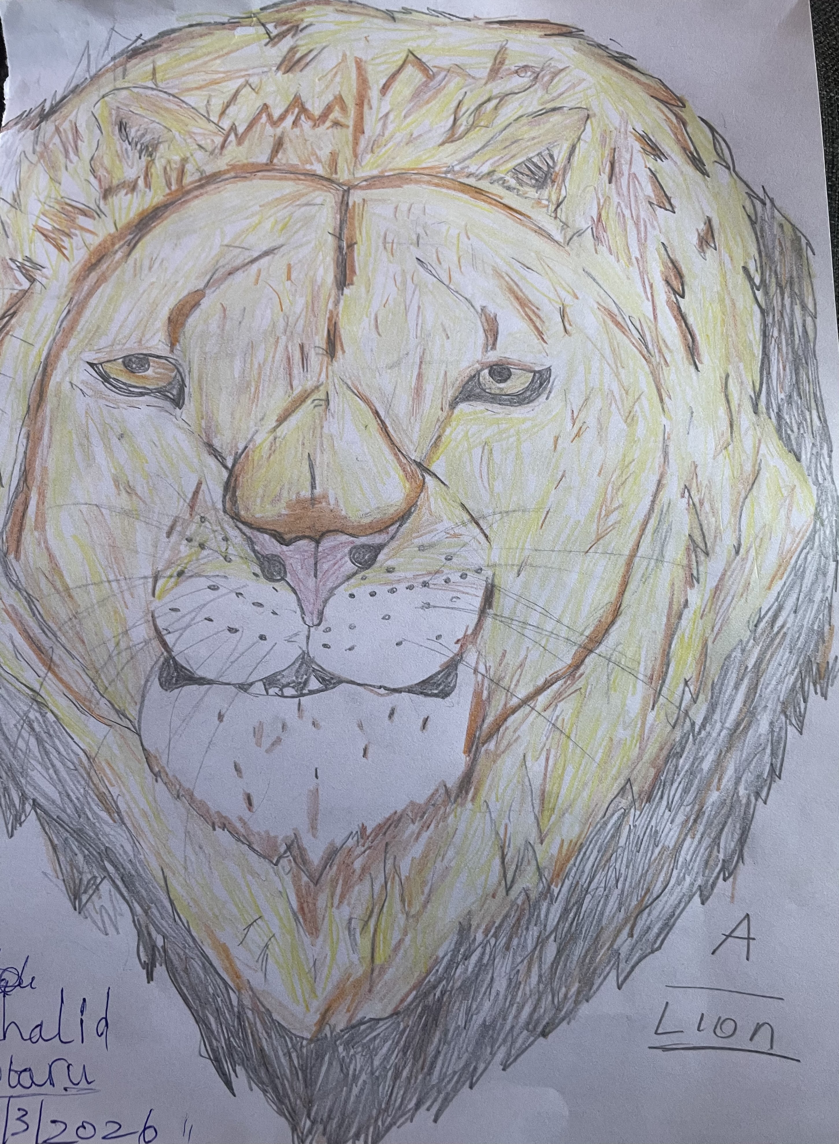 Khalid Otaru  Artwork